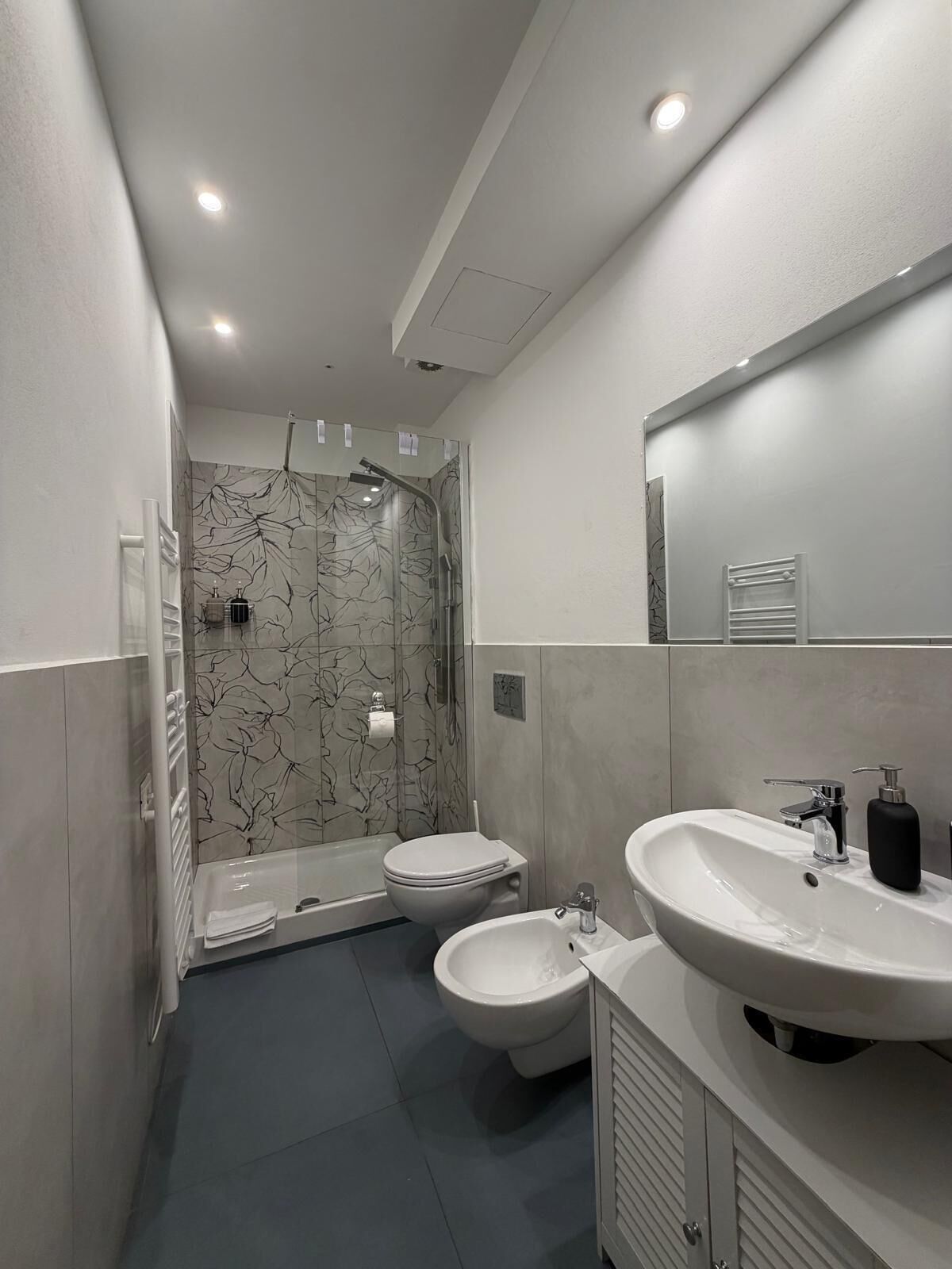 Regadera, secadora de cabello, bidet, toallas 
