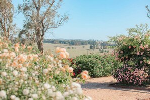 Property grounds - Mary Cabin | Saumarez Homestead (Armidale Regional Council)