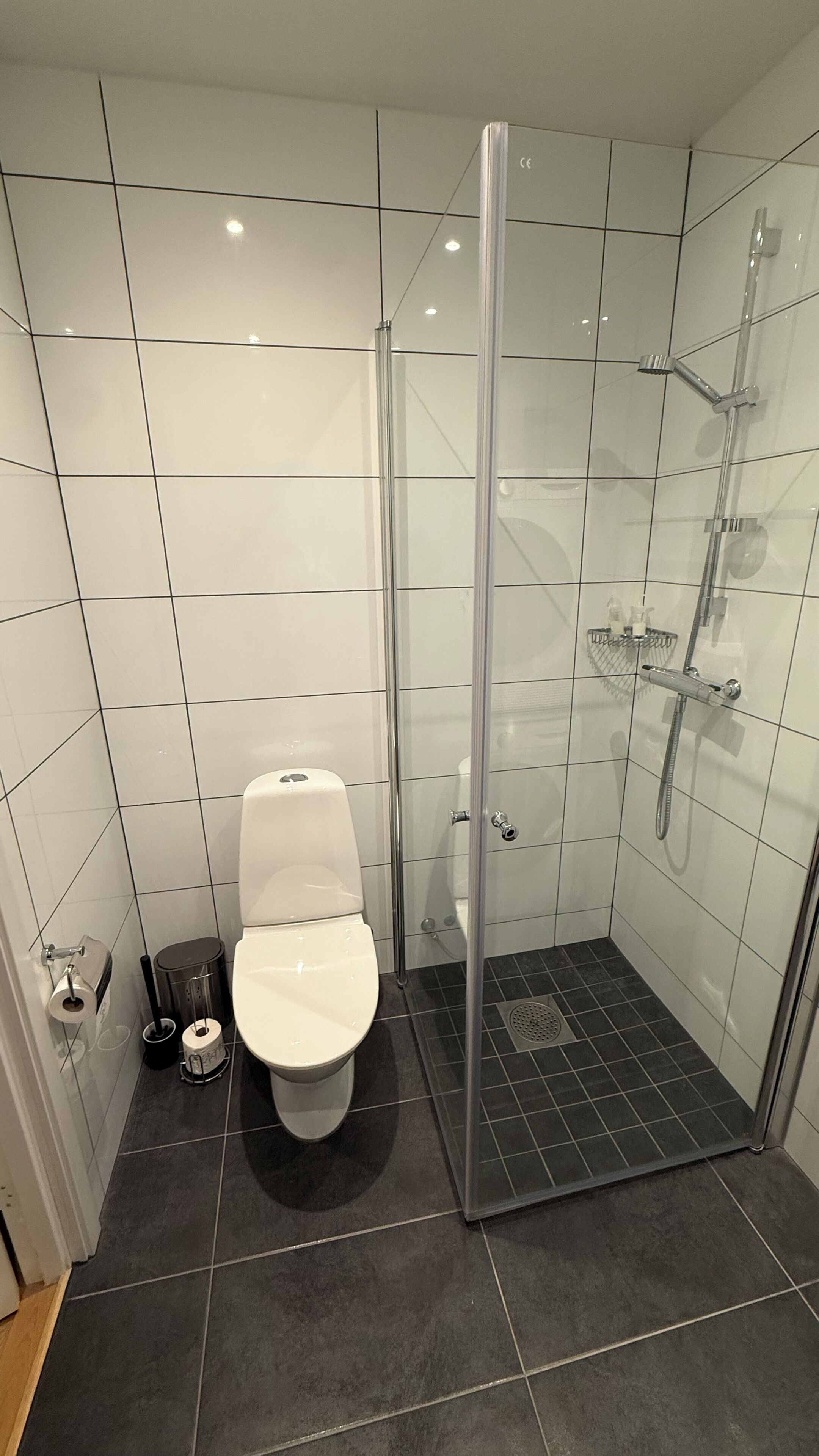A modern bathroom with a glass-enclosed shower, a toilet, and a bidet.