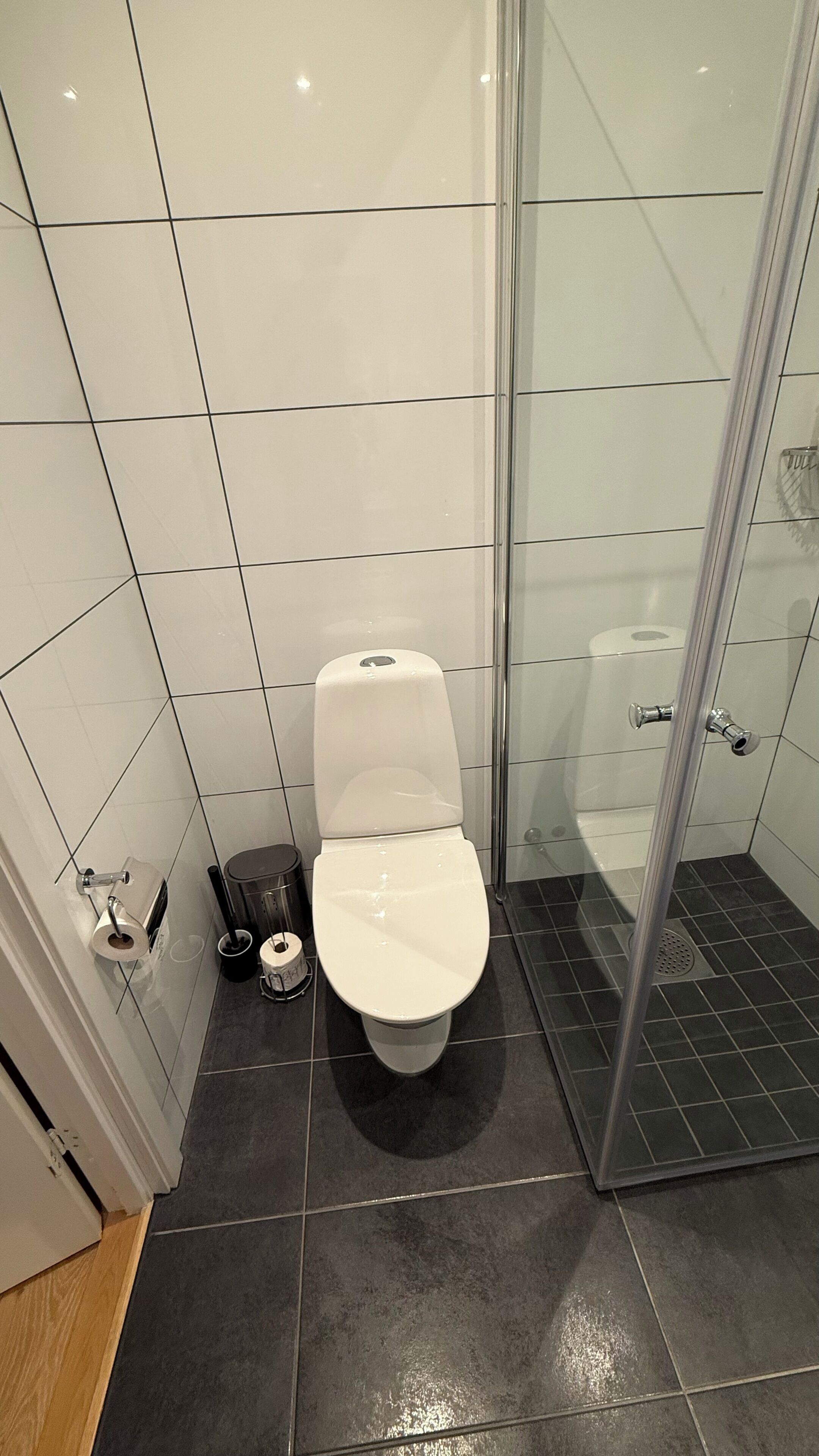 A modern bathroom with a toilet, a shower, and a toilet paper holder.