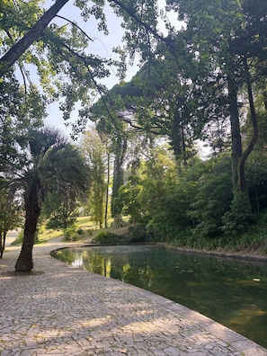 Un sendero pavimentado que conduce a un estanque rodeado de abundante vegetación y árboles.