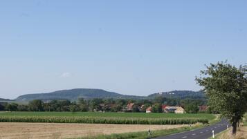 A rural road with houses and fields, a clear sky, and distant hills.