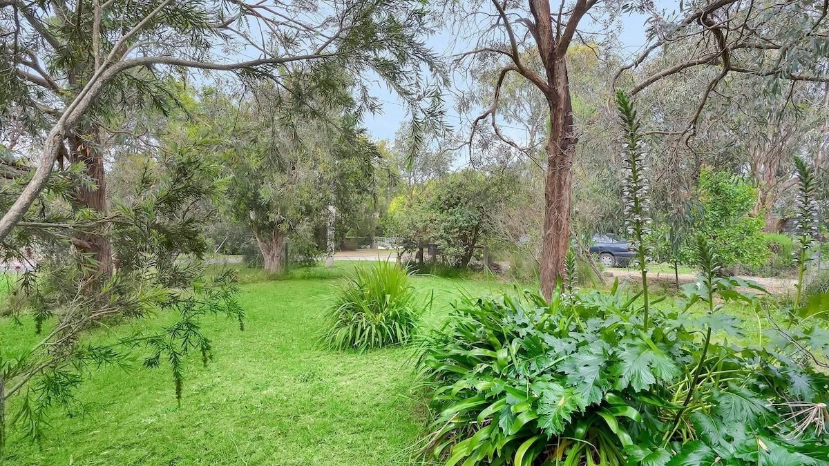 A lush garden with various plants and trees, a clear sky, and a distant view of a car.