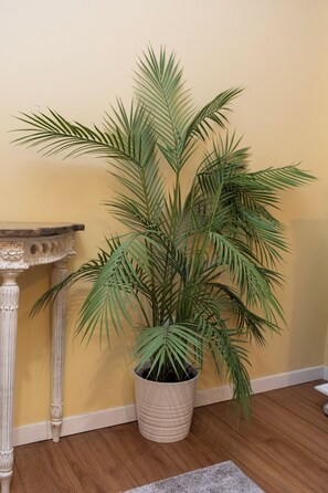 Un palmier en pot, placé dans un coin, avec un plancher en bois et une colonne blanche.