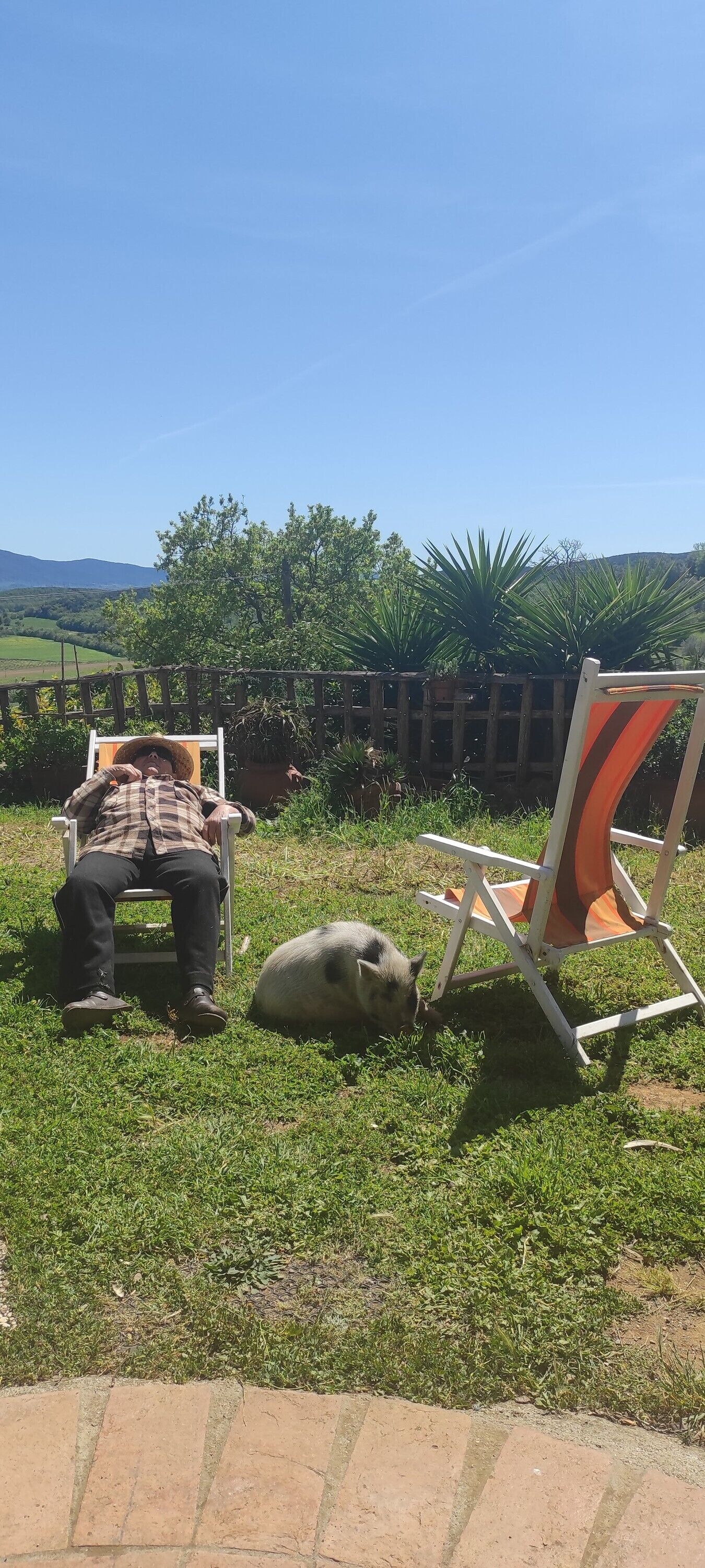 Enceinte de l’hébergement