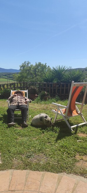 Enceinte de l’hébergement