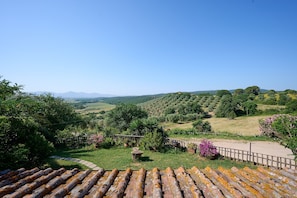 A rural landscape with a clear sky, terraced fields, and a wooden fence. - Apartment '2' with Shared Pool and Garden, Wi-Fi, and Air Conditioning (Massa Marittima)