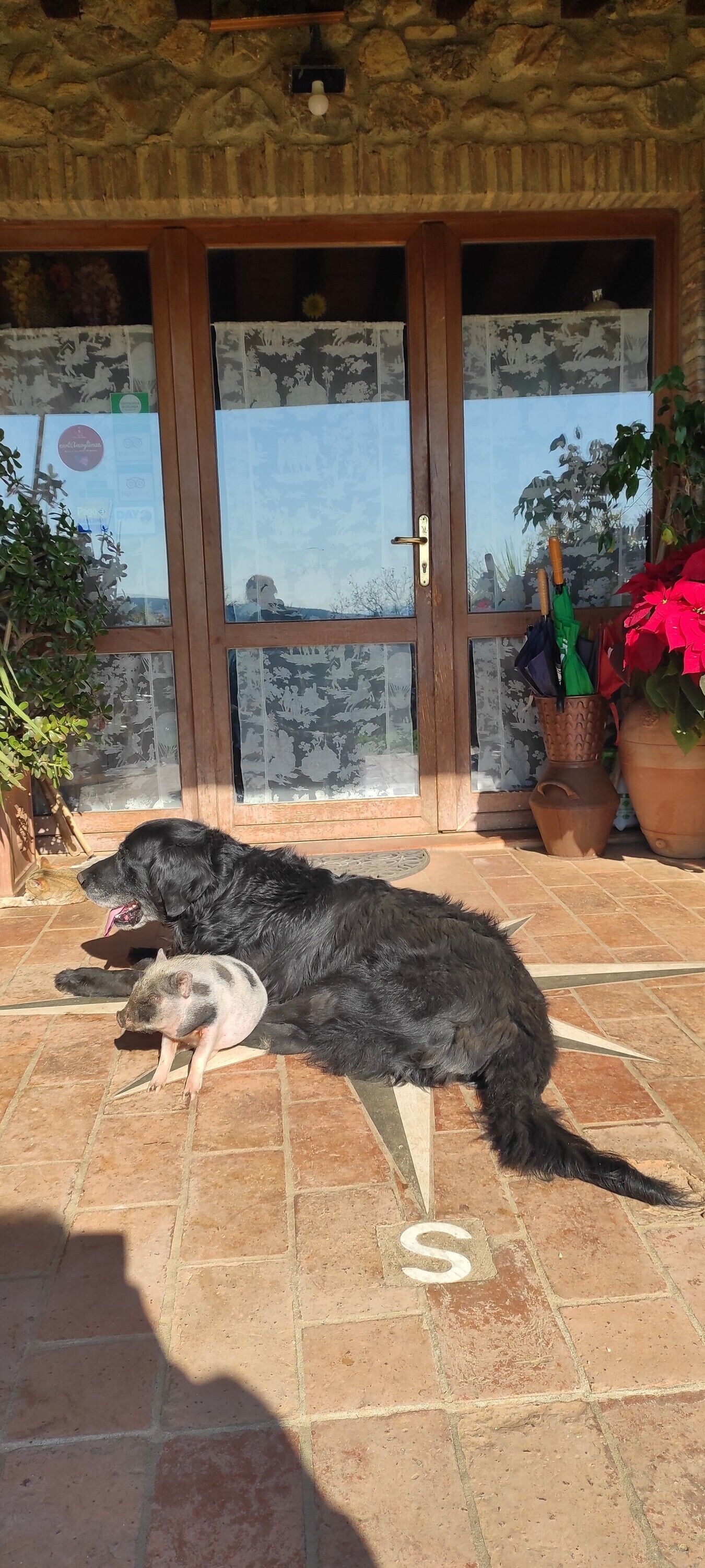 Détail de l’extérieur