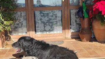 DĂ©tail de lâextĂ©rieur