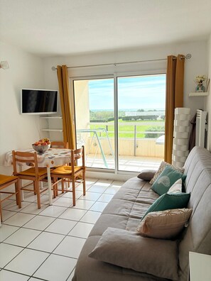 TV - St Cyprien, right on the water, beach or swimming pool (Saint-Cyprien)