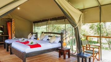 Tält Deluxe - utsikt mot trädgården