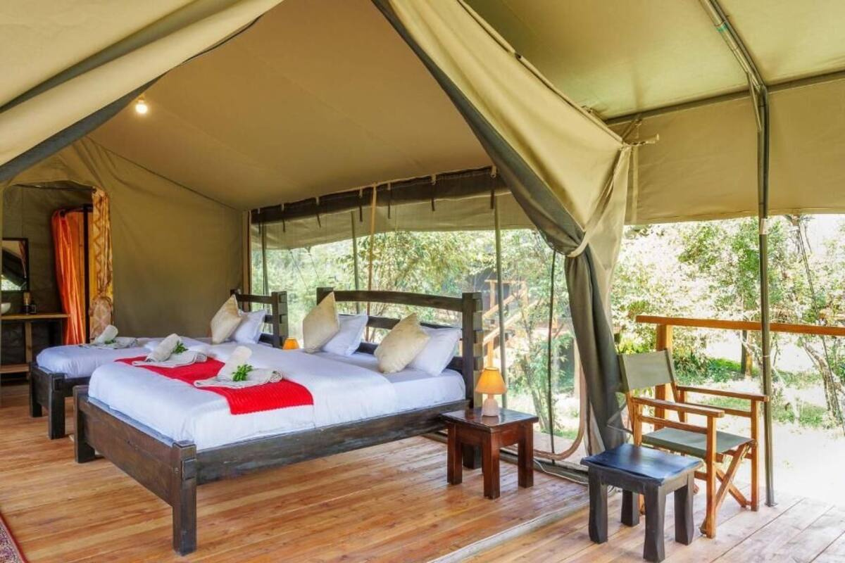 A tented accommodation with two beds, a wooden floor, and a view of greenery.