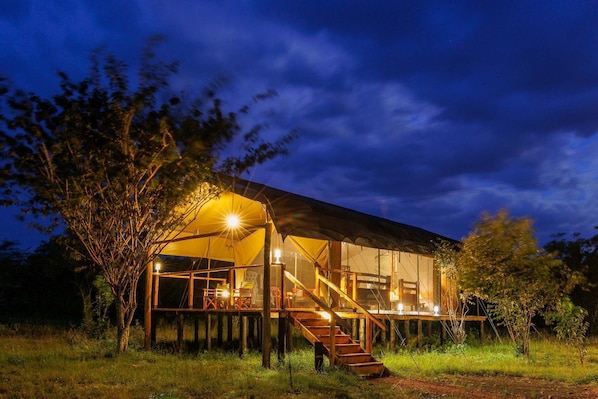 Room - Aruba Mara Camp (Talek)