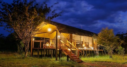 Aruba Mara Camp