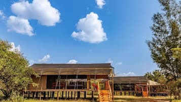 Tält - uteplats - utsikt mot trädgården | Exteriör