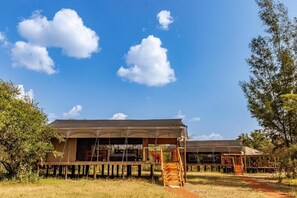 Tienda, patio, vistas al jardín | Exterior