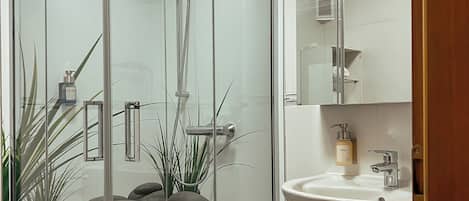 Shower, hair dryer, towels, soap
