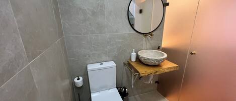 Een badkamer met een toilet, een wastafel met een stenen waskom, een spiegel en een toiletrolhouder.