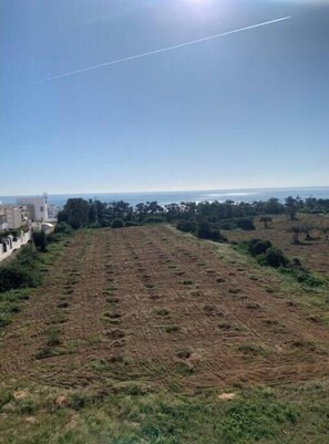 Miscellaneous - Your haven of peace with a sea view, a stone's throw from the city center (Hammamet)