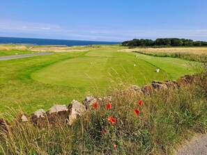 Ein Golfplatz mit freiem Blick auf das Meer, einem gepflegten Grün und einer Steinmauer mit Wildblumen.