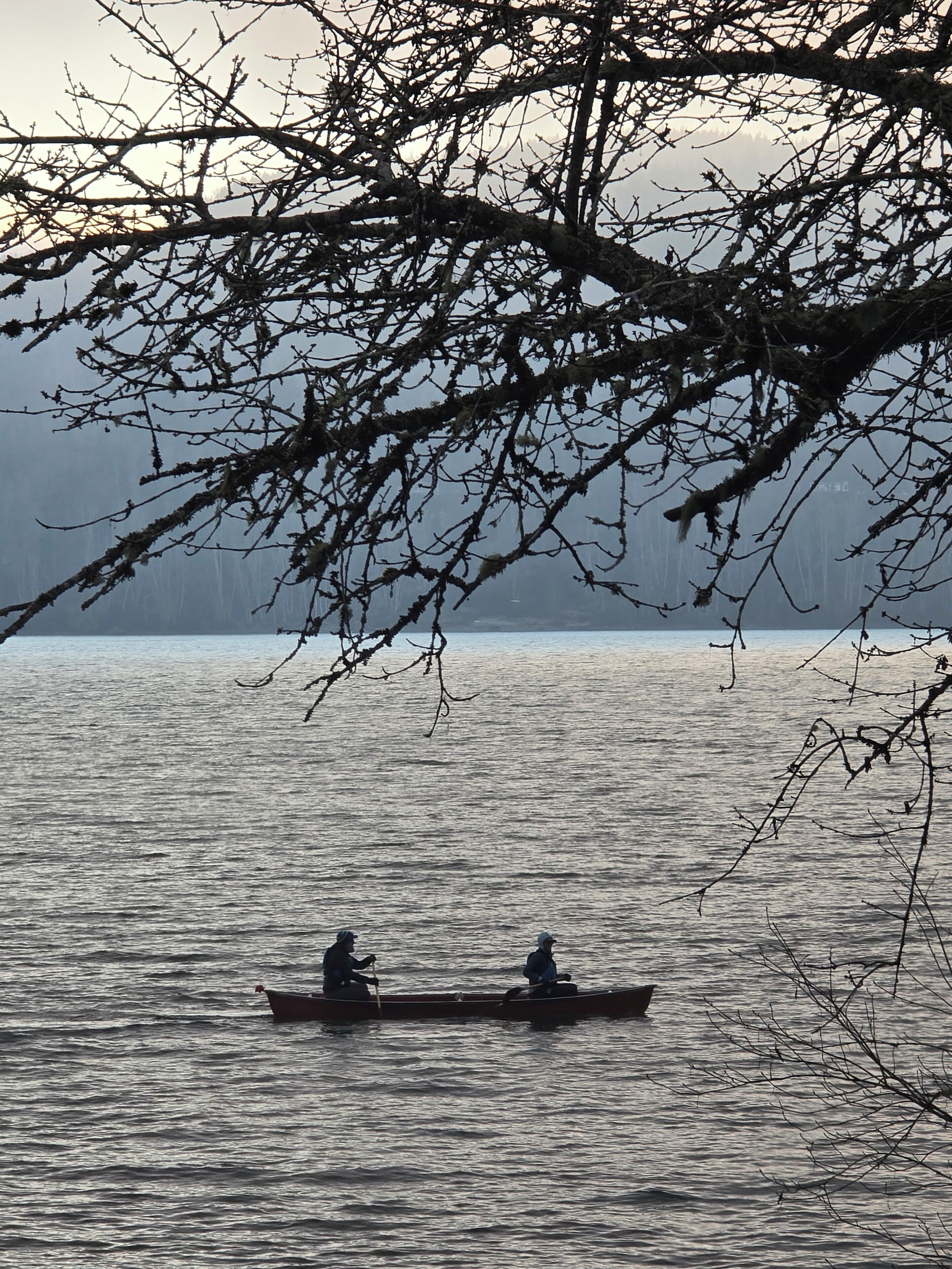 Two people in a narrow boat on a calm body of water, surrounded by bare tree branches.