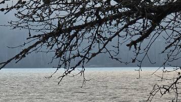 Two people in a narrow boat on a calm body of water, surrounded by bare tree branches.