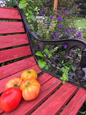 A red wooden bench with black metal armrests and three tomatoes placed on it.