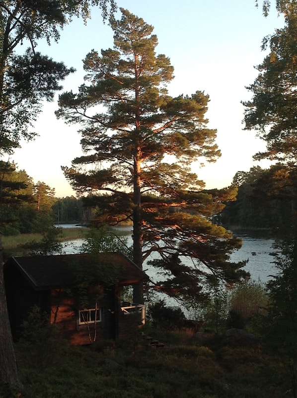 A cabin with a small porch, surrounded by trees and a lake.