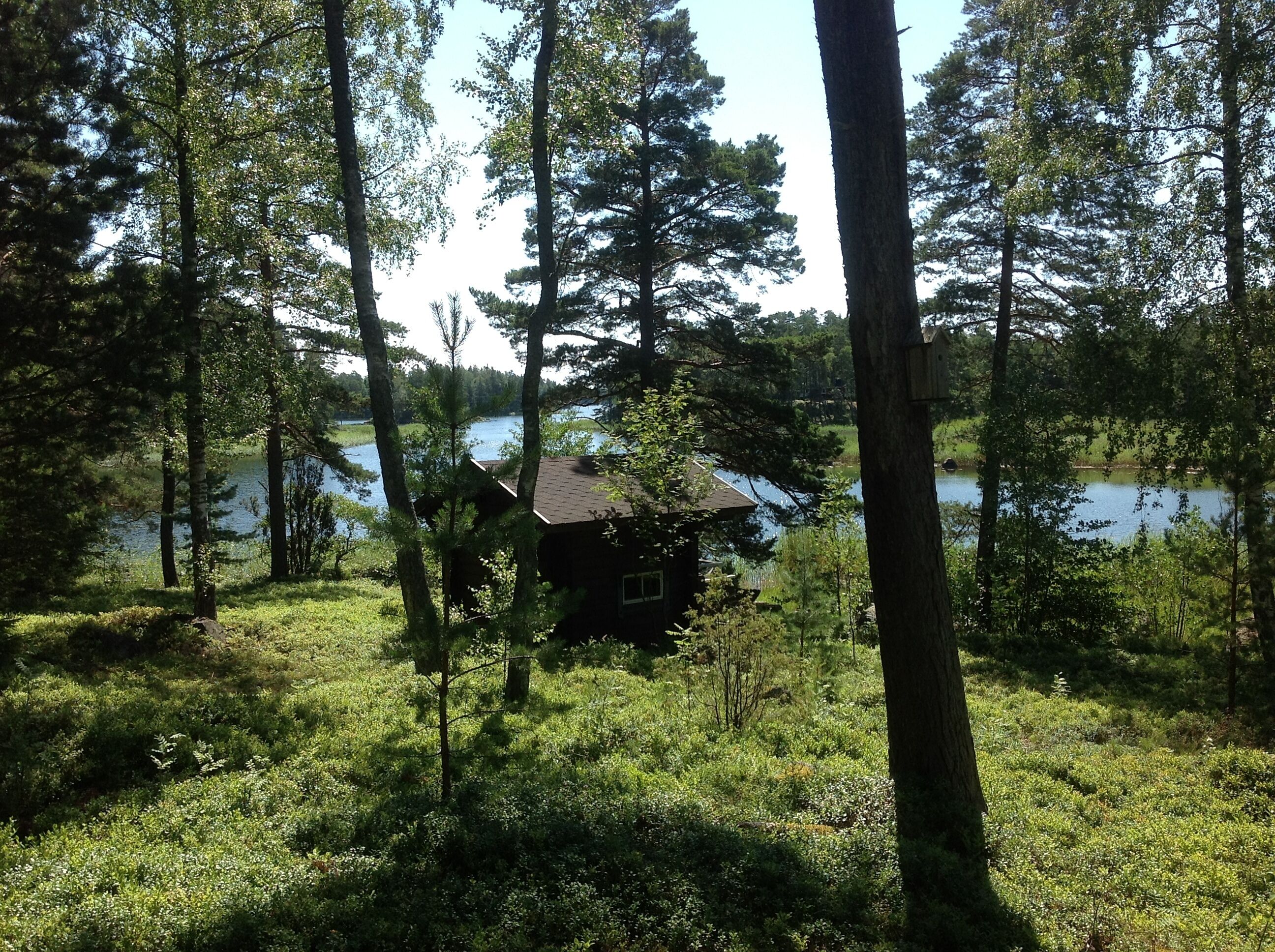 المنطقة المحيطة بالمنشأة