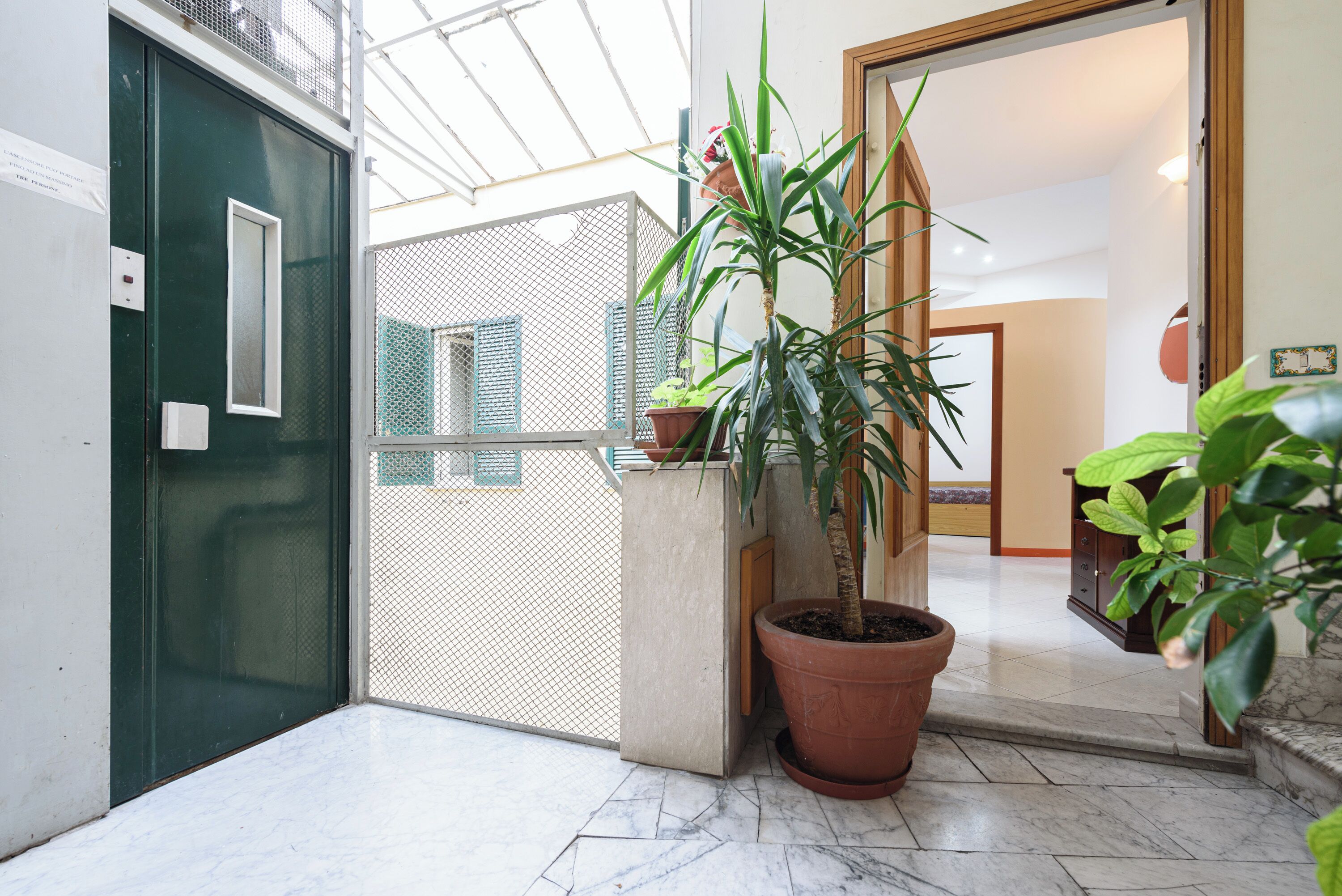 A hallway with a green door, a potted plant, and a view through a mesh screen to the outside.