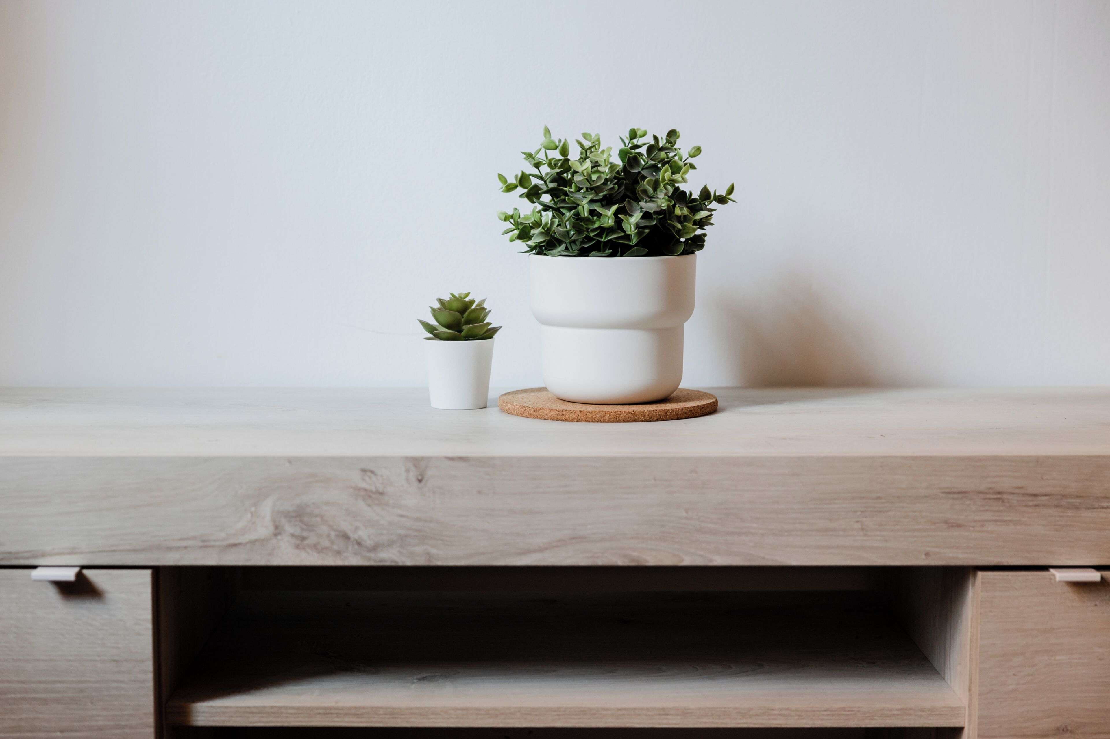 Une étagère en bois sur laquelle reposent deux pots blancs, l’un plus grand que l’autre, et qui contiennent des plantes vertes.