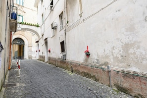 Una calle adoquinada flanqueada por edificios, una barandilla metálica y flores rojas en macetas de ventana.