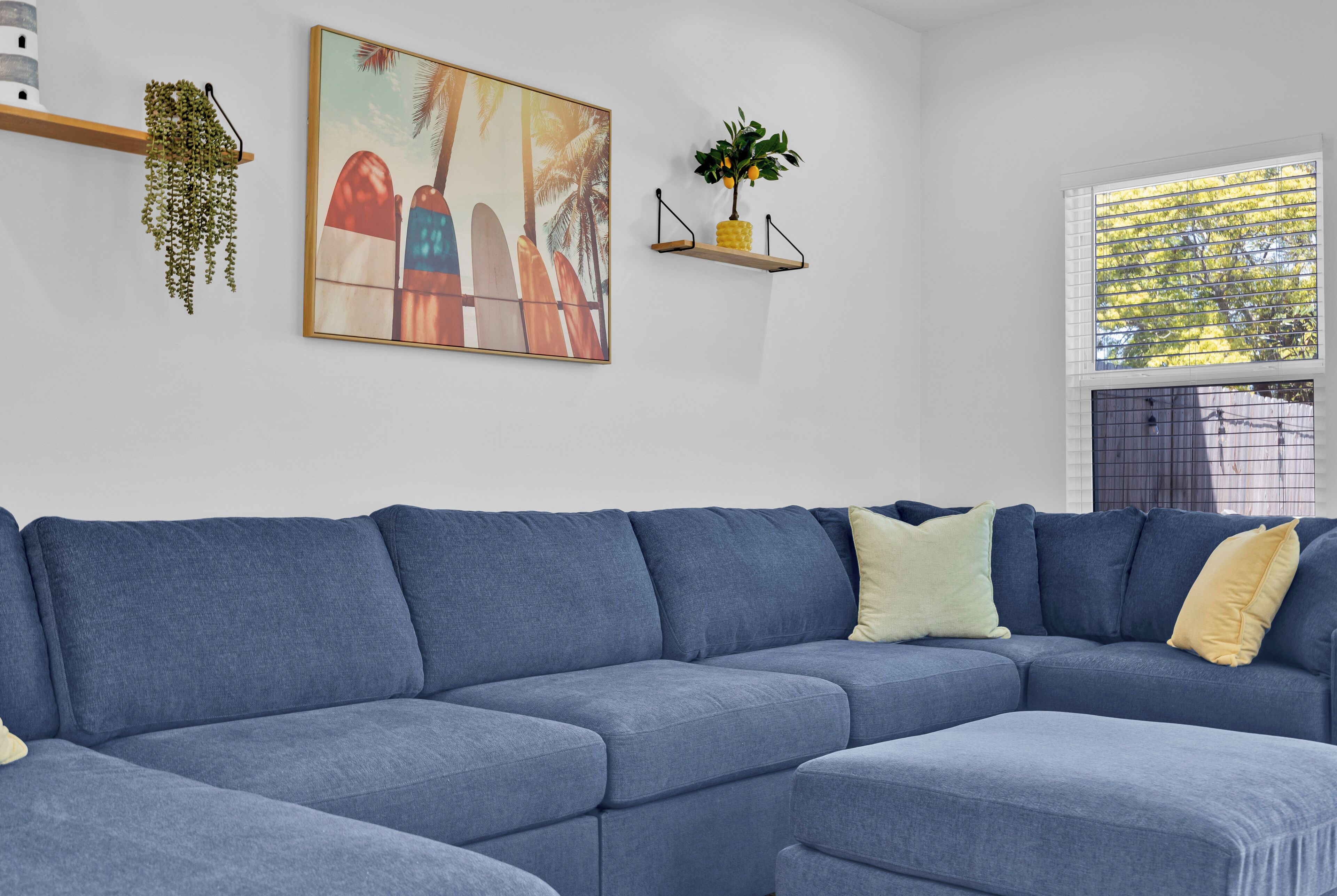 Un canapé modulable, une étagère fixée au mur avec une plante, un tableau encadré et une fenêtre avec des stores.