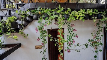 Un edificio con fachada blanca, una puerta de madera y un letrero que dice 'Sangolda'.