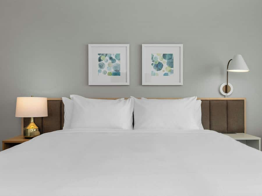 Studio-suite - 1 kingsize-seng med sovesofa