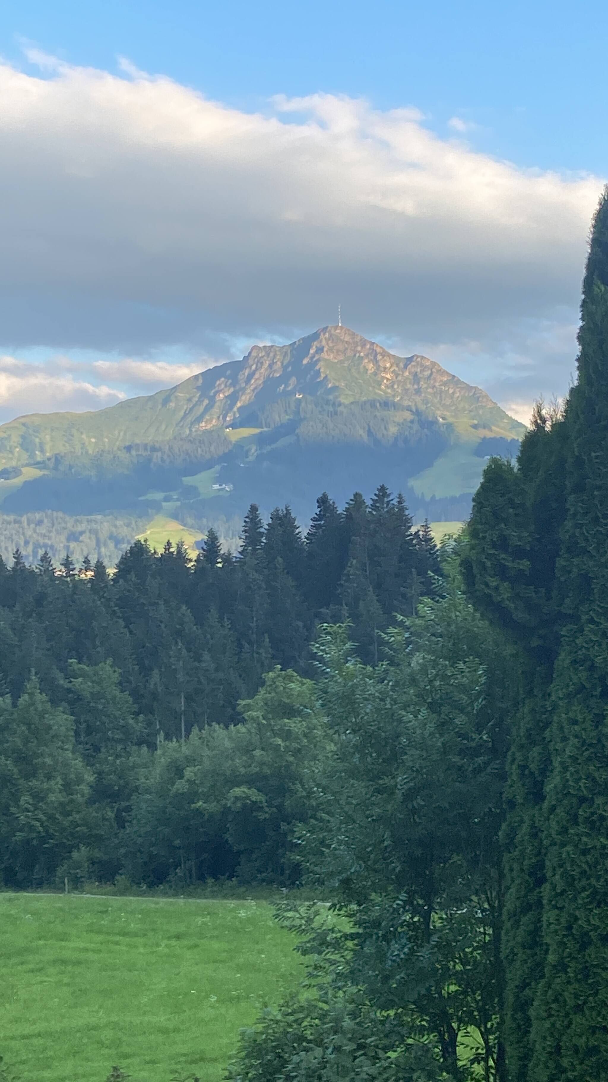 Una montaña con una torre, rodeada de un bosque denso y un campo verde.