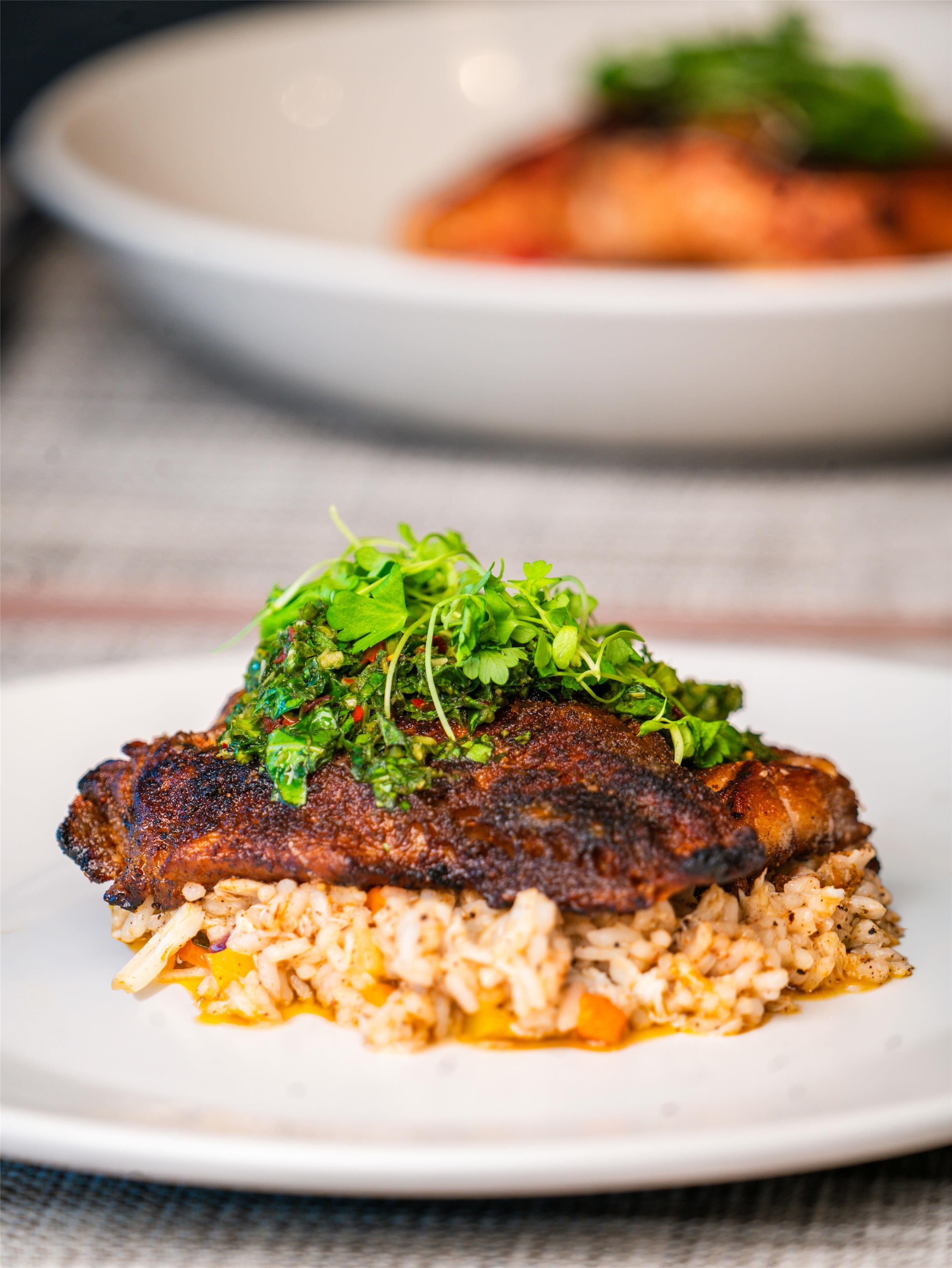 Un plato de comida con carne y arroz.