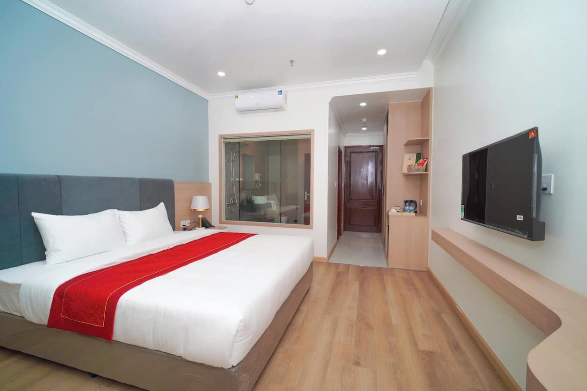 Een hotelkamer met een bed, een televisie, een douche en een inloopkast.