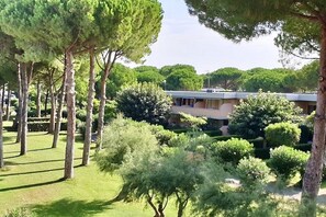 Property grounds - Three-room apartment Forte 6 beds in Marina di Bibbona (Marina di Bibbona)