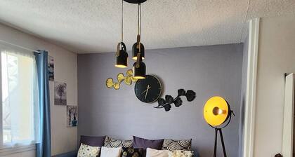 Maison familiale Cherbourg-Ping pong-Baby foot