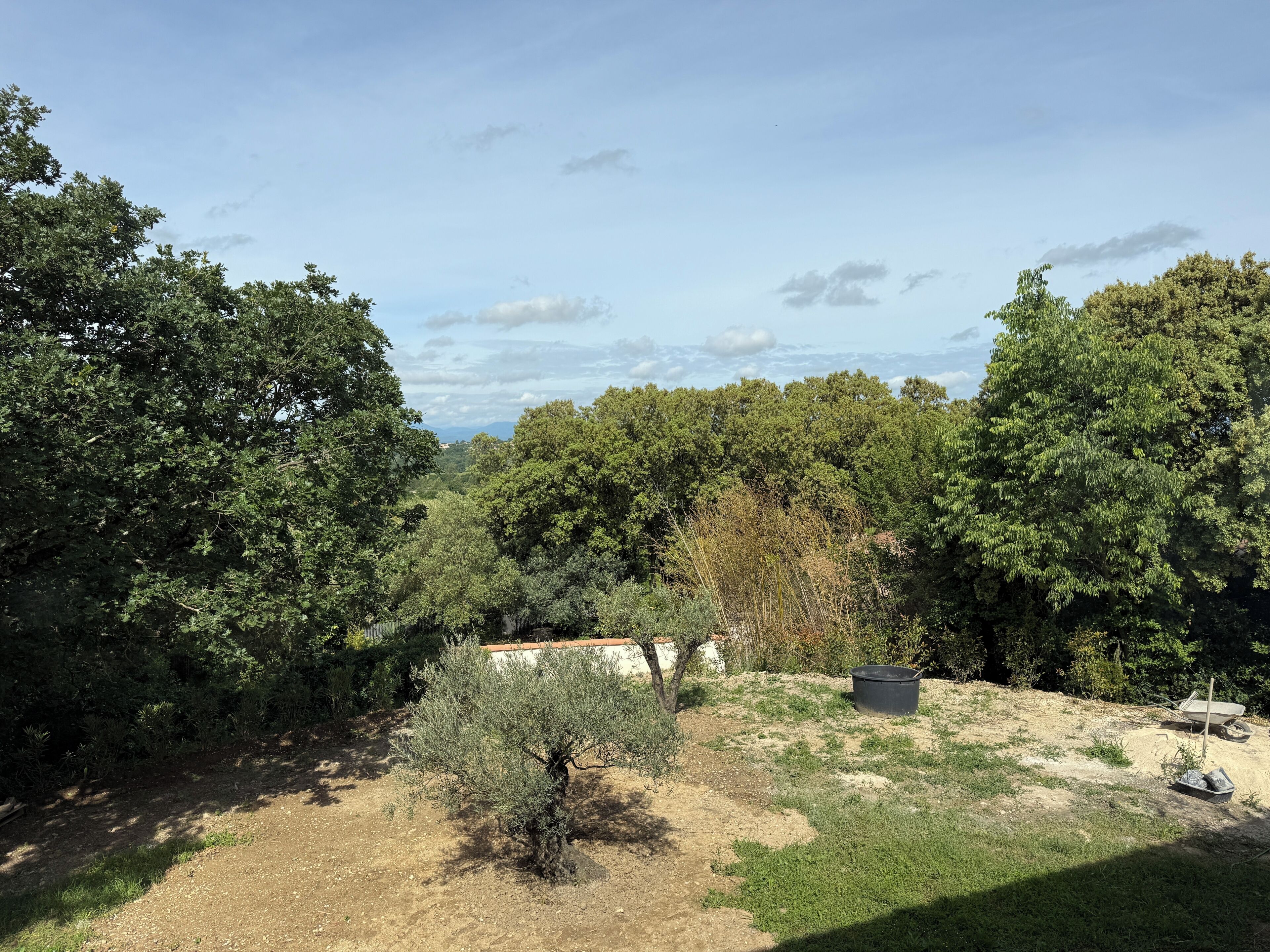 A landscape with trees, a small building, and a dirt path.