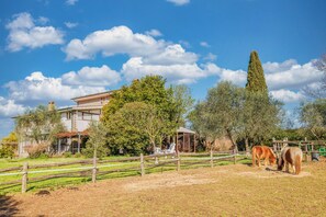 A rural property with a house, a fenced pasture, and two horses. - Alloggio turistico Isola dei Cavalli (Manziana)