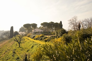 Paisaje rural con una casa rodeada de árboles y una colina.
