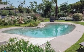 Ein Schwimmbecken mit geschwungener Kante, umgeben von einer Betonplattform und üppiger Bepflanzung.