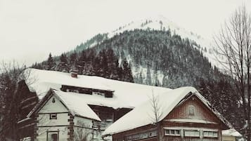 Exteriör