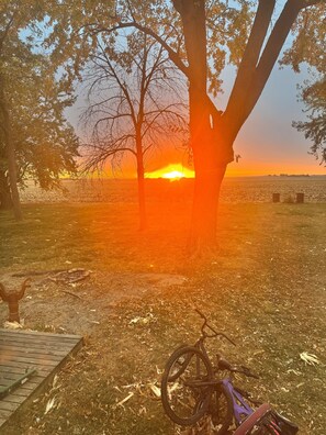 Miscellaneous - 3-bedroom house in beautiful Badger with a backyard that is just breathtaking! (Badger)