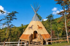 Unclassified image, 3 of 35, button - Luxury King Yurt w/ Resort Access (Sevierville)