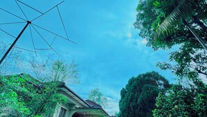 A house with a sloped roof, surrounded by lush greenery and trees. - Freedom River House (Ahangama)