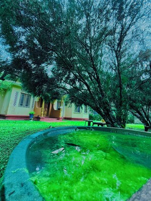 Property grounds - Freedom River House (Ahangama)