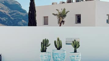 Piscina externa